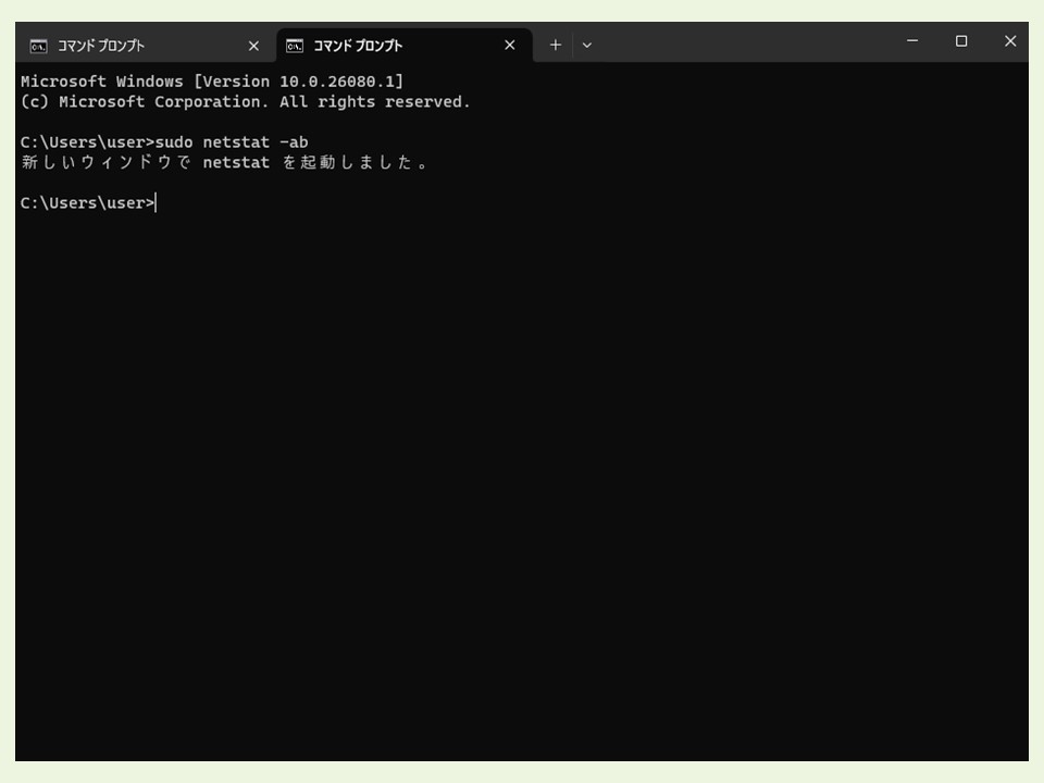 sudoあり実行